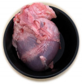Wir präparieren Schweineherzen und Hühnerbeine, um die Anatomie am realen Objekt zu verstehen.