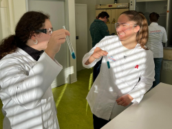 Tag der offenen Fachbereiche am Standort Dresden