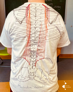 recura-akademieanatomie-zum-anziehen2